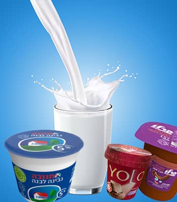Dairy and eggs